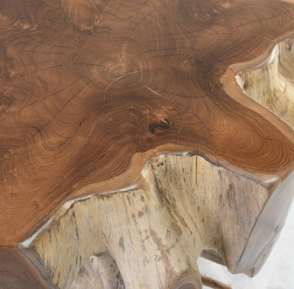Teak Root End Table