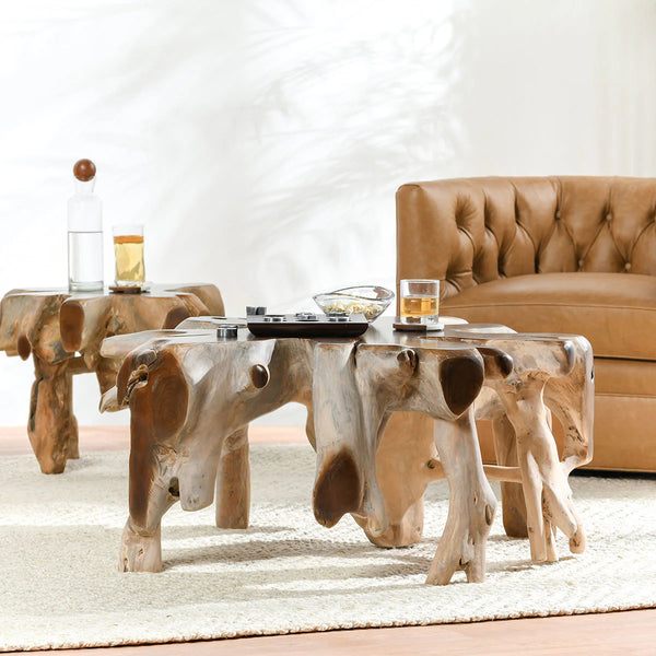 Teak Root Coffee Table
