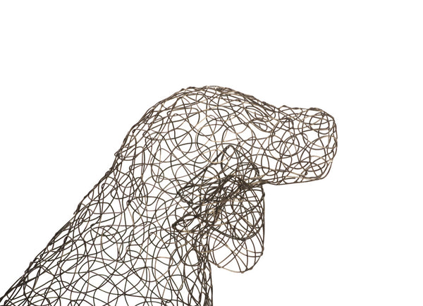 Crazy Wire Beagle