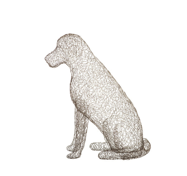 Crazy Wire Retriever