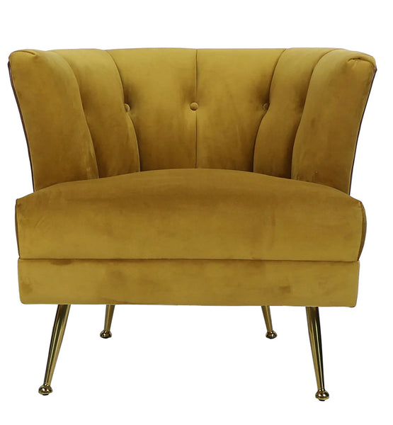 Velvet & Leather Chair