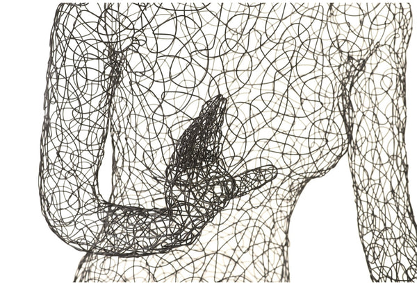 Crazy Wire Female