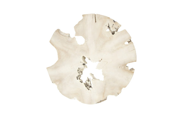 Bleached Slice & Iron Coffee Table