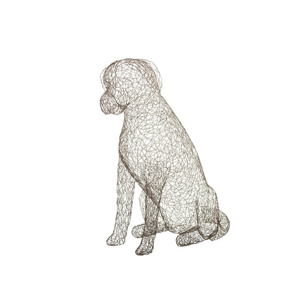 Crazy Wire Retriever