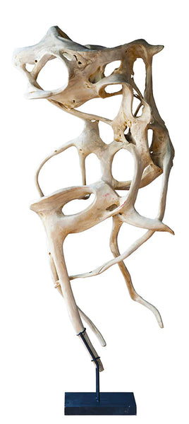 Teak Root Abstract Sculpture