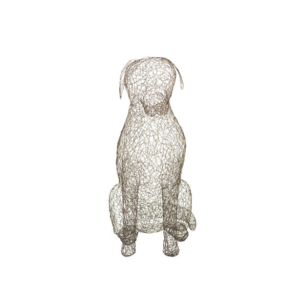 Crazy Wire Retriever