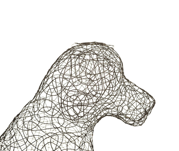Crazy Wire Retriever