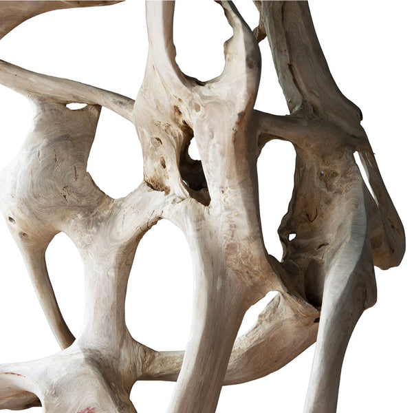 Teak Root Abstract Sculpture