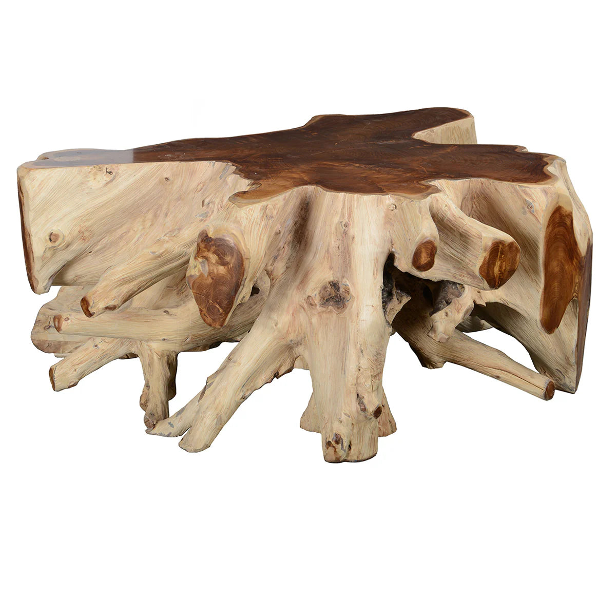 Teak Root Coffee Table