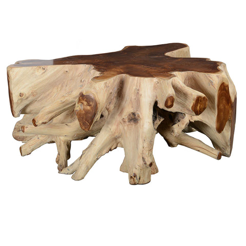 Teak Root Coffee Table