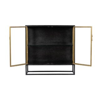 Iron & Glass 2 Door Cabinet