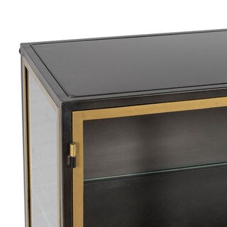 Iron & Glass 2 Door Cabinet