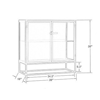 Iron & Glass 2 Door Cabinet