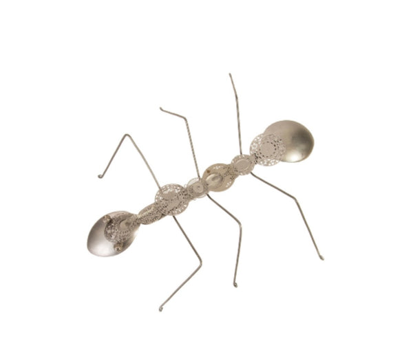 Spoon Ant XXL